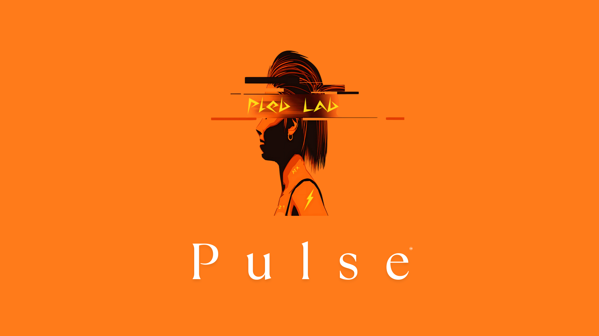 introducing  p u l s e